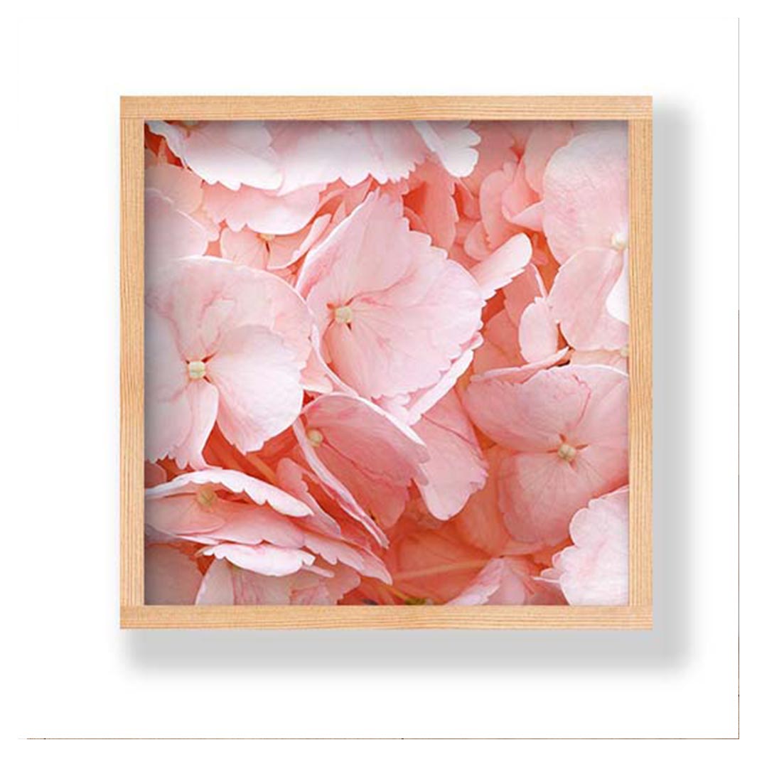 HYDRANGEA SOFT PINK LEAVES PINE BOX