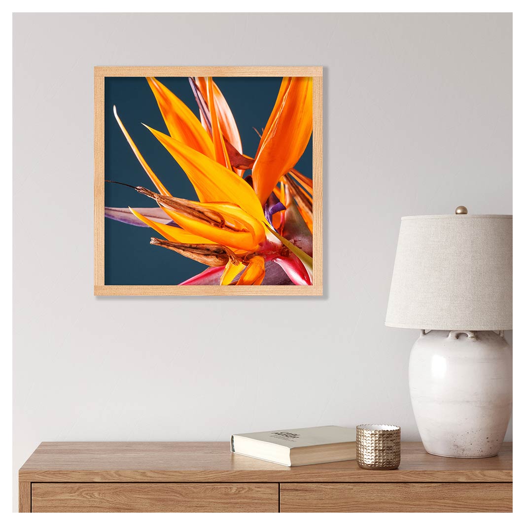 STRELITZIA ORANGE ON BLUE PINE BOX