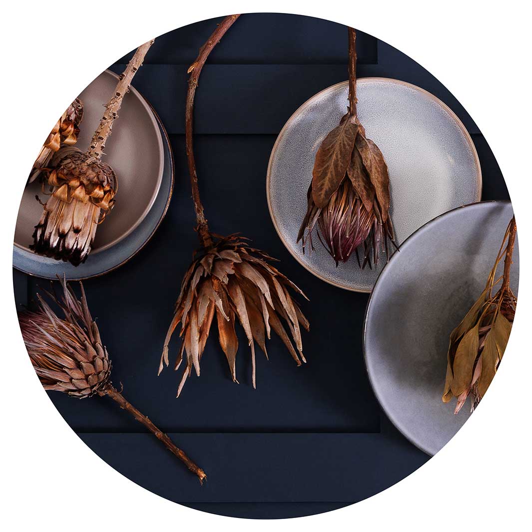 GOLDEN PROTEA AND PLATES POT STAND