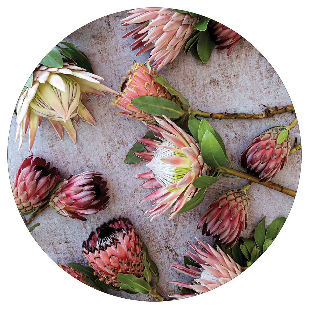 FLORAL PINK MIXED KING PROTEAS POT STAND
