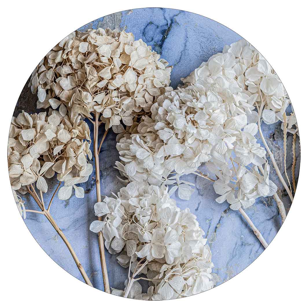FLORAL CREAM BLEACHED HYDRANGEAS ON BLUE POT STAND