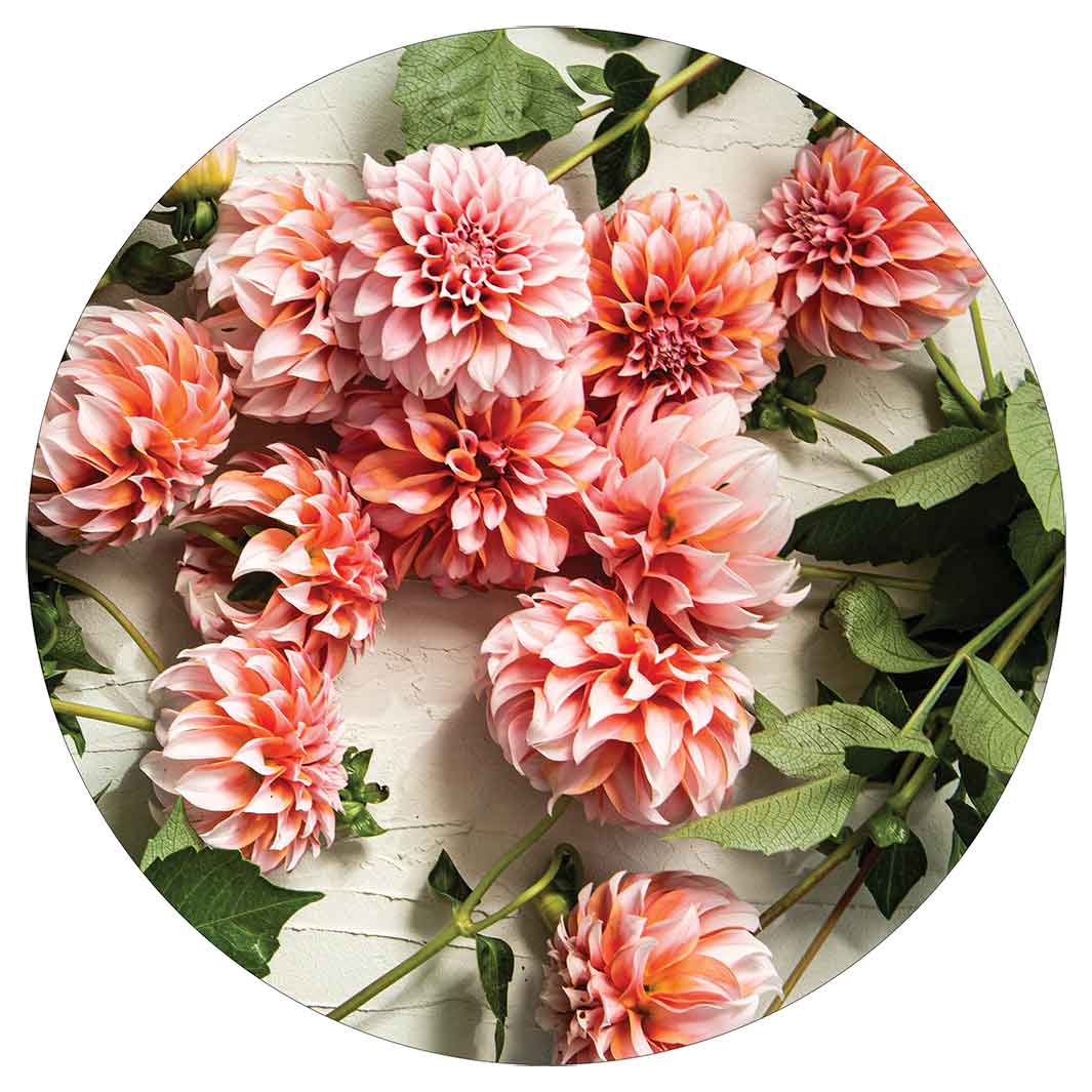 FLORAL ORANGE SCATTERED DAHLIAS WITH LEAVES POT STAND