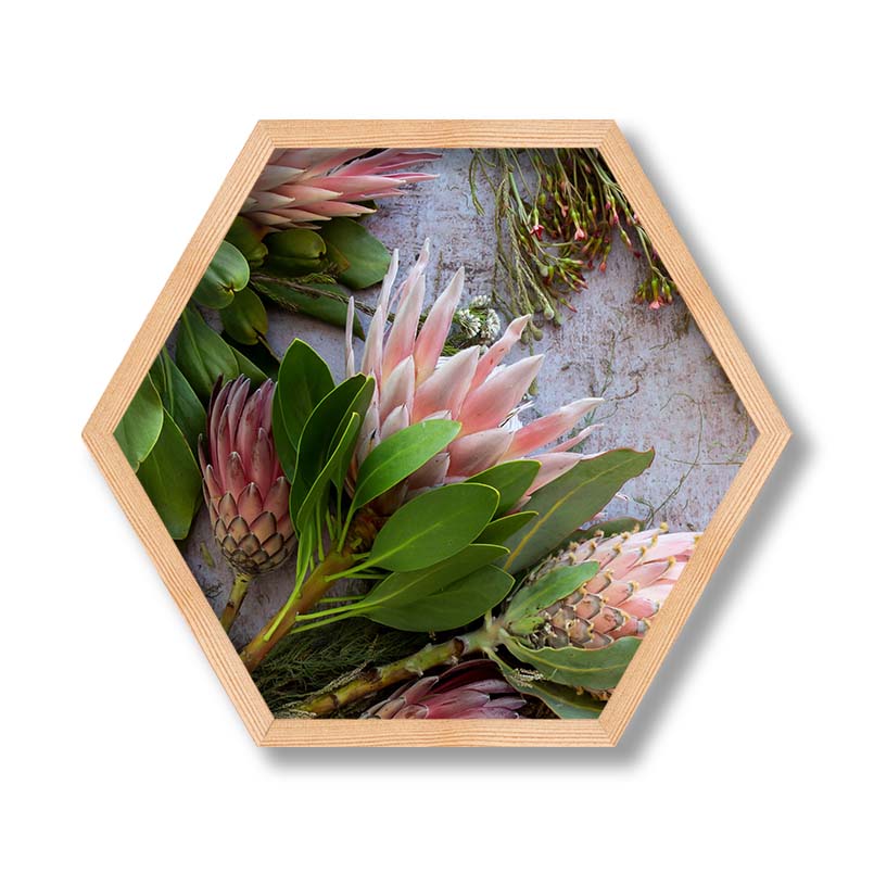 FLORAL PINK MIXED KING PROTEAS PINE HEX