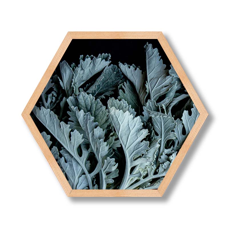 FLORAL SILVER LEAVES WITH PINK PEONIES PINE HEX