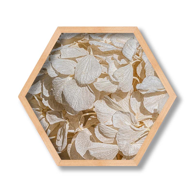 FLORAL CREAM BLEACHED HYDRANGEA LEAVES PINE HEX