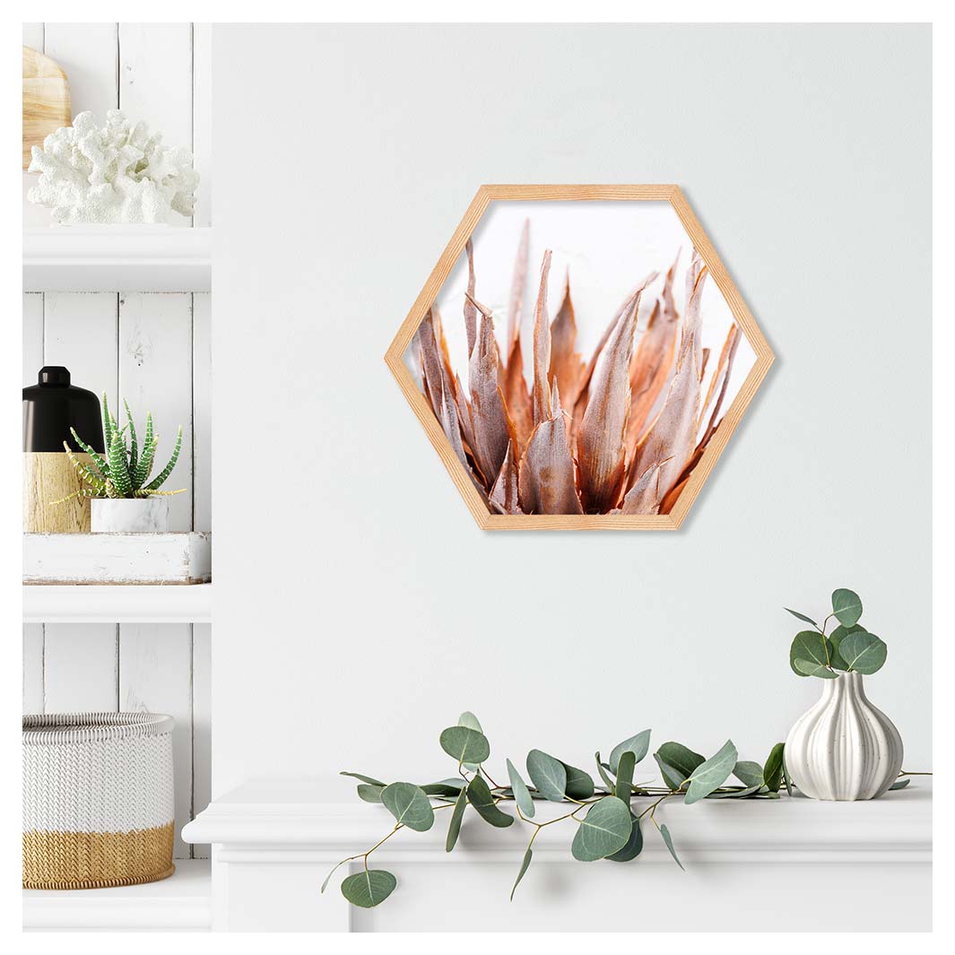 DRIED PINK PROTEA PINE HEX