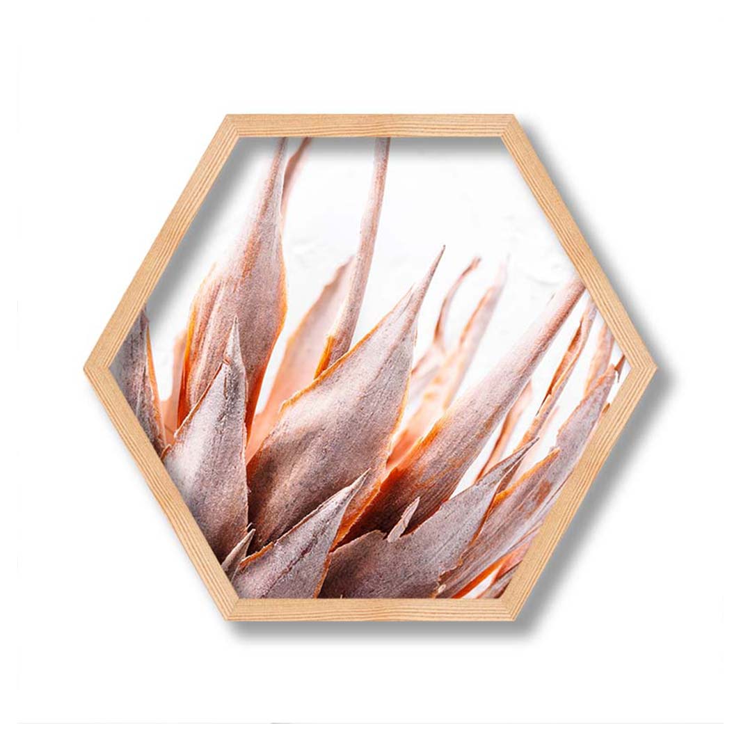 DRIED RUSTIC PINK PROTEA PINE HEX
