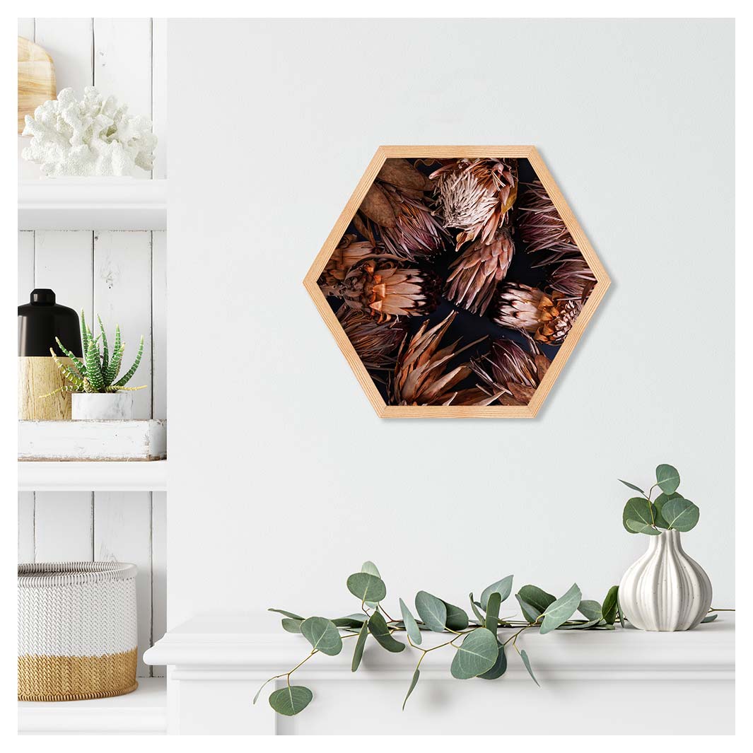 GOLDEN BROWNS PROTEAS PINE HEX
