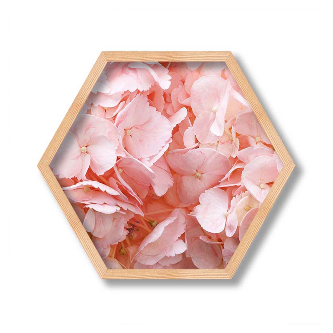 HYDRANGEA SOFT PINK LEAVES PINE HEX