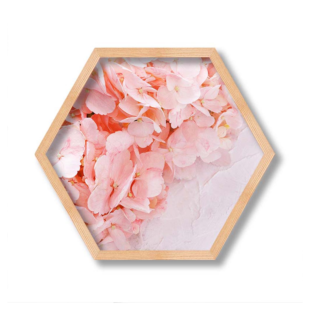 HYDRANGEA SOFT PINK PINE HEX