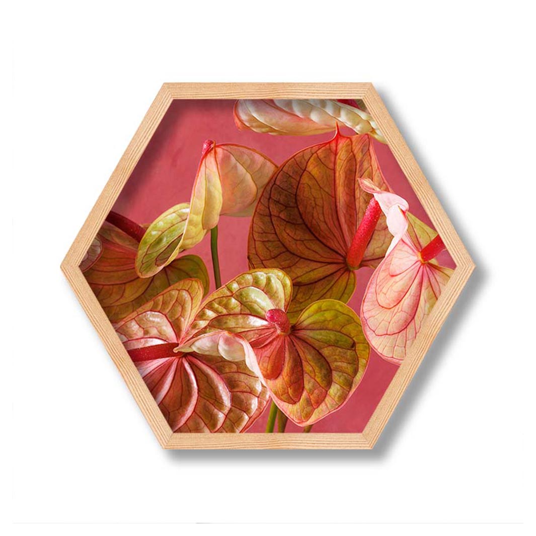 ANTHURIUM LIGHT PINK AND GREEN ON MAGENTA PINE HEX