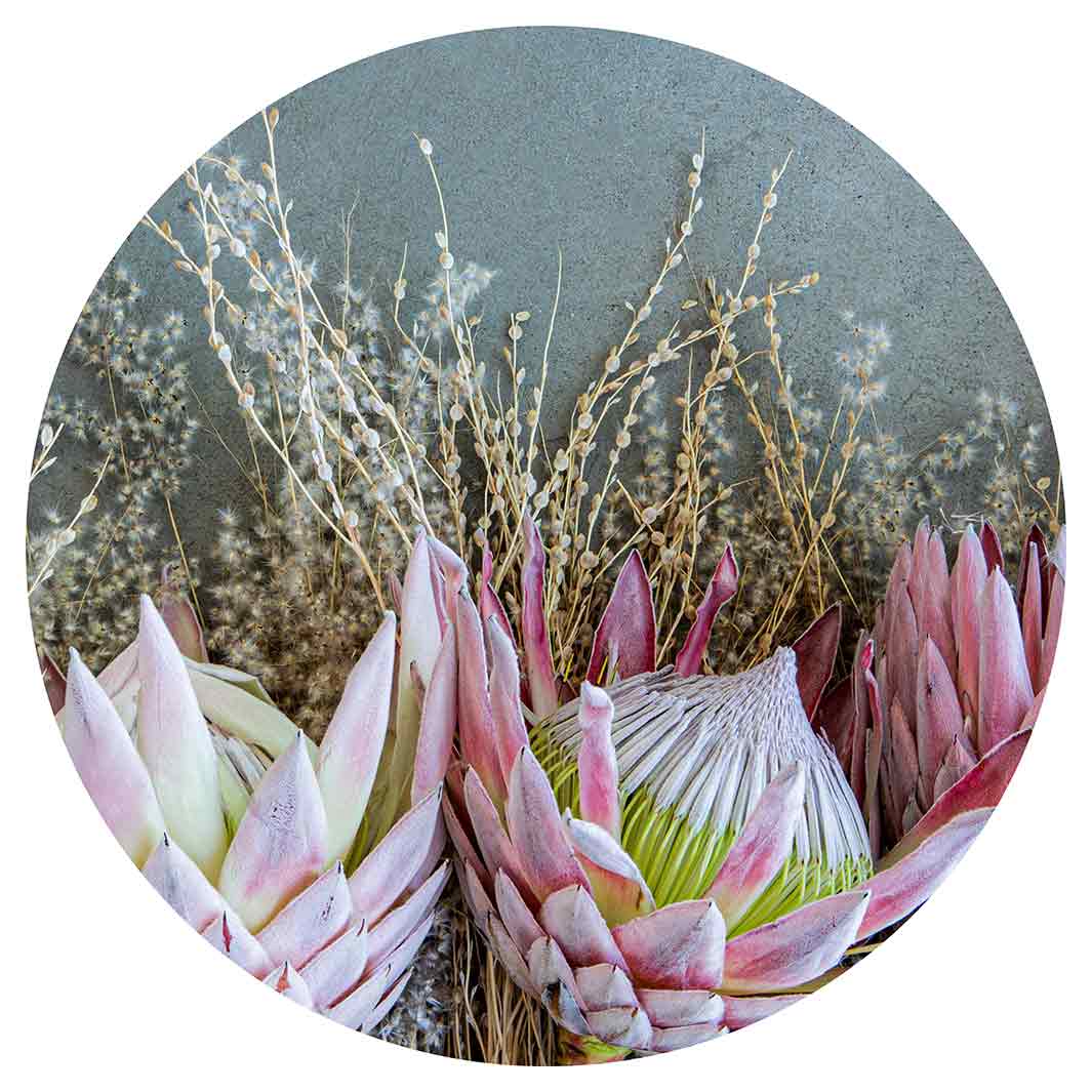 FLORAL DEEP PINK KING PROTEA ROUND PLACEMAT