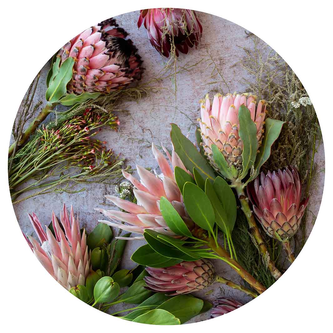 FLORAL PINK MIXED KING PROTEAS ROUND PLACEMAT