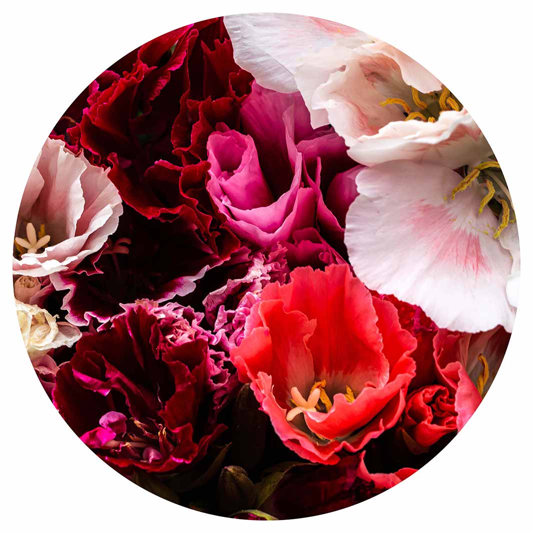 FLORAL PINK AND RED LISIANTHUS FLOWER MIX ROUND PLACEMAT