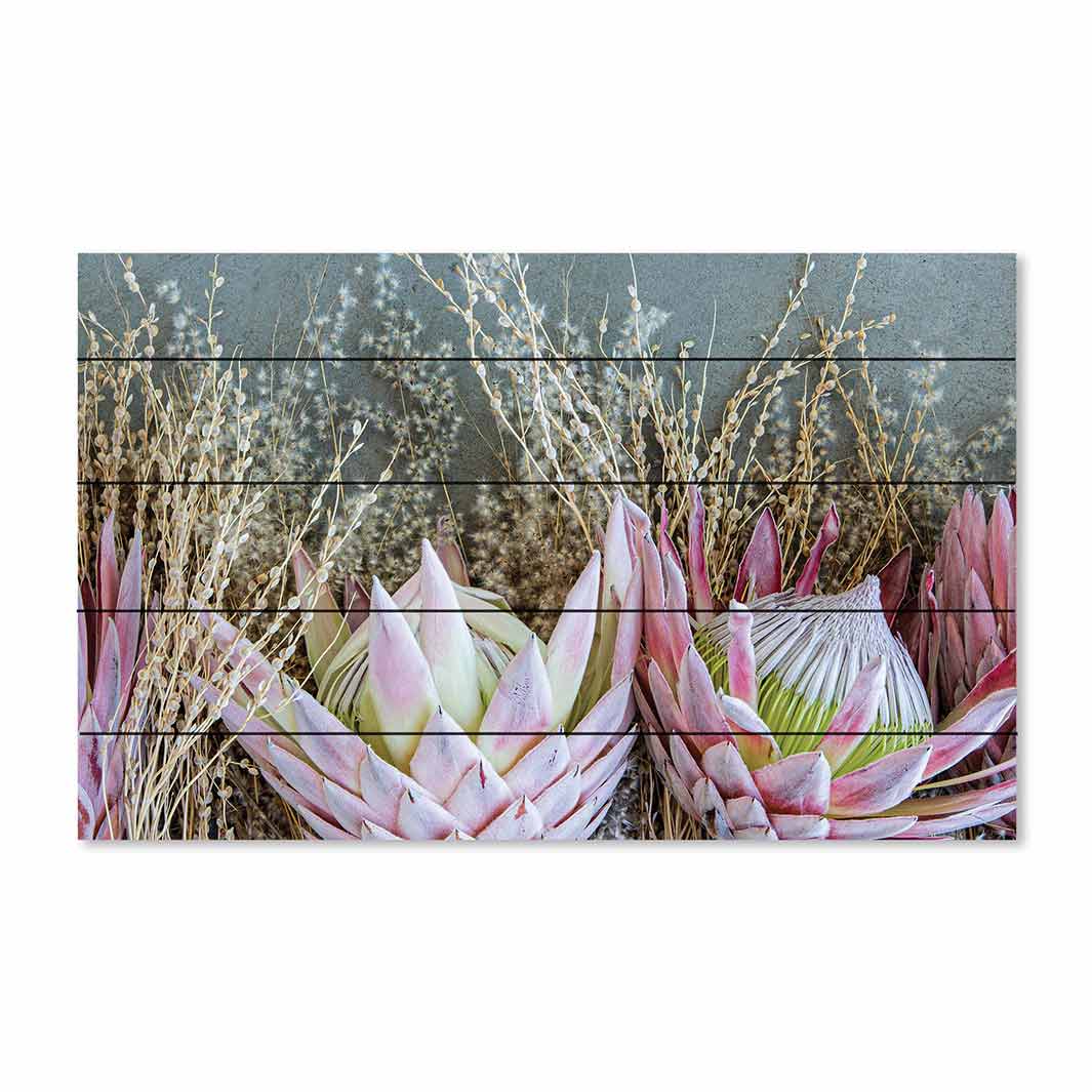 FLORAL DEEP PINK KING PROTEA PINE WOOD PRINT
