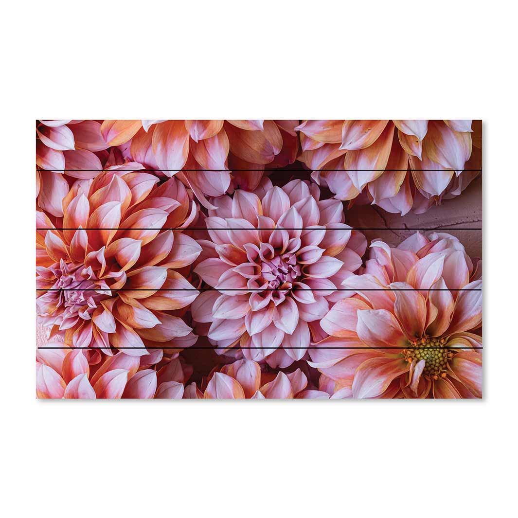 FLORAL PINK AND ORANGE DAHLIA FLOWERS PINE WOOD PRINT