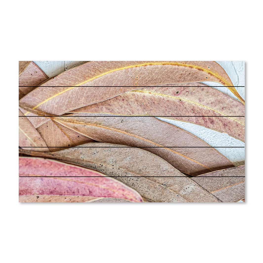 LEAVES PINK DRIED LEAVES PINE WOOD PRINT