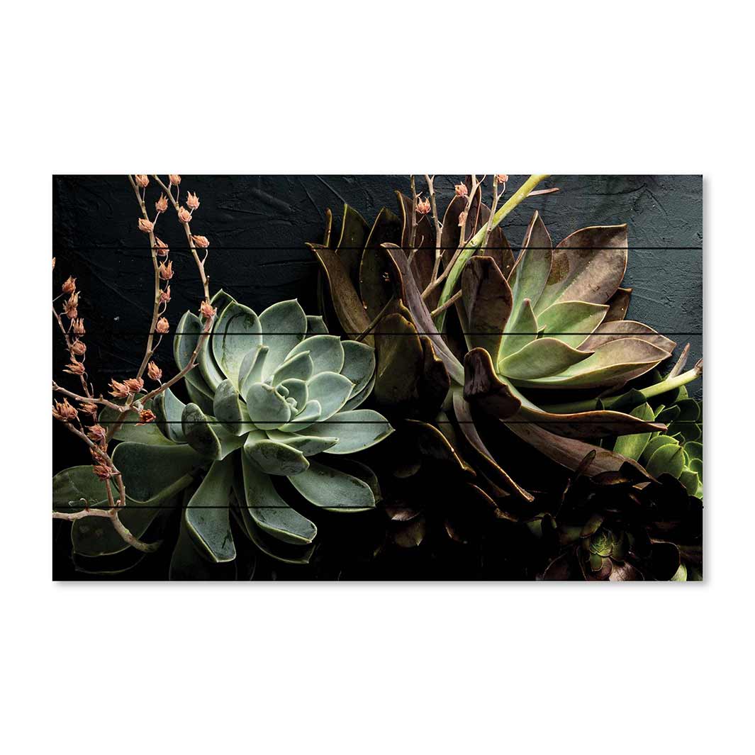NATURAL GREEN ALOE BUSH WITH LEAVES PINE WOOD PRINT