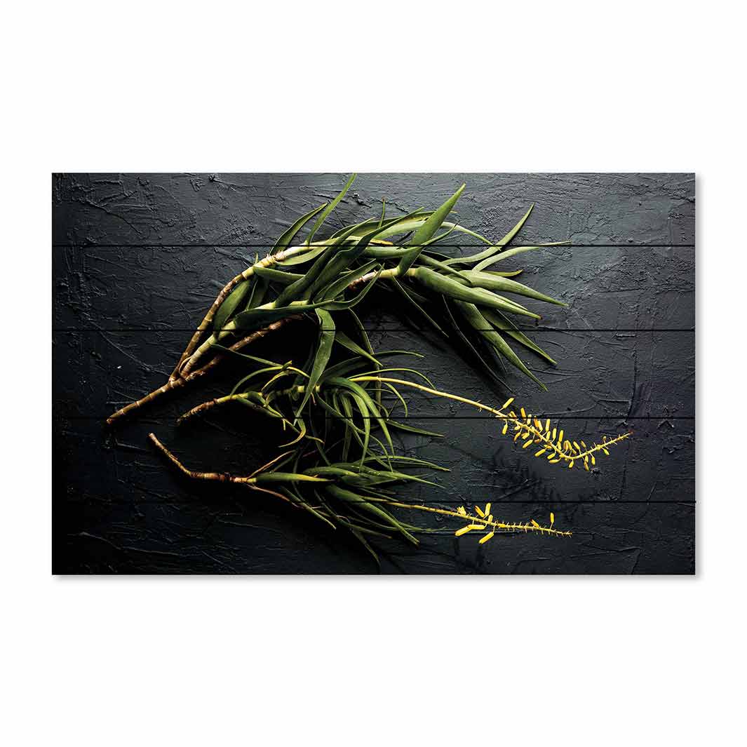 NATURAL YELLOW BLOSSOMS ALOE BUSH ON GREY PINE WOOD PRINT