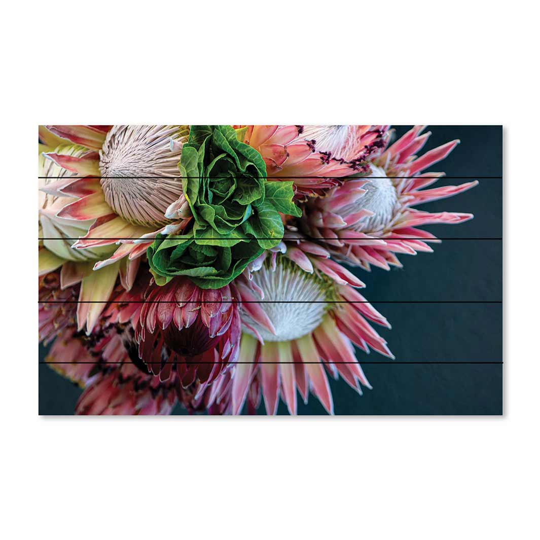 FLORAL PINK PROTEA BUNCH ON BLACK PINE WOOD PRINT