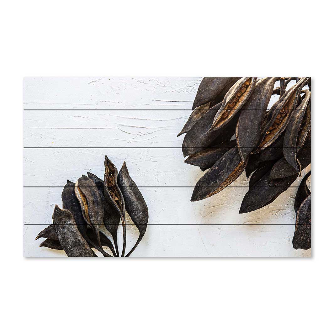 NATURAL BROWN DRIED SEED PODS PINE WOOD PRINT