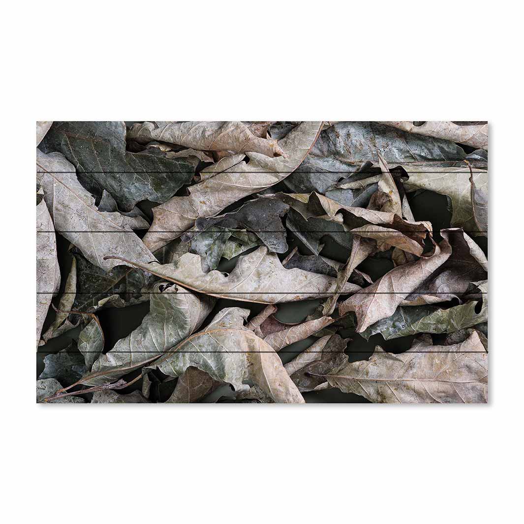 MONOCHROMATIC GREY GREEN LEAVES PINE WOOD PRINT