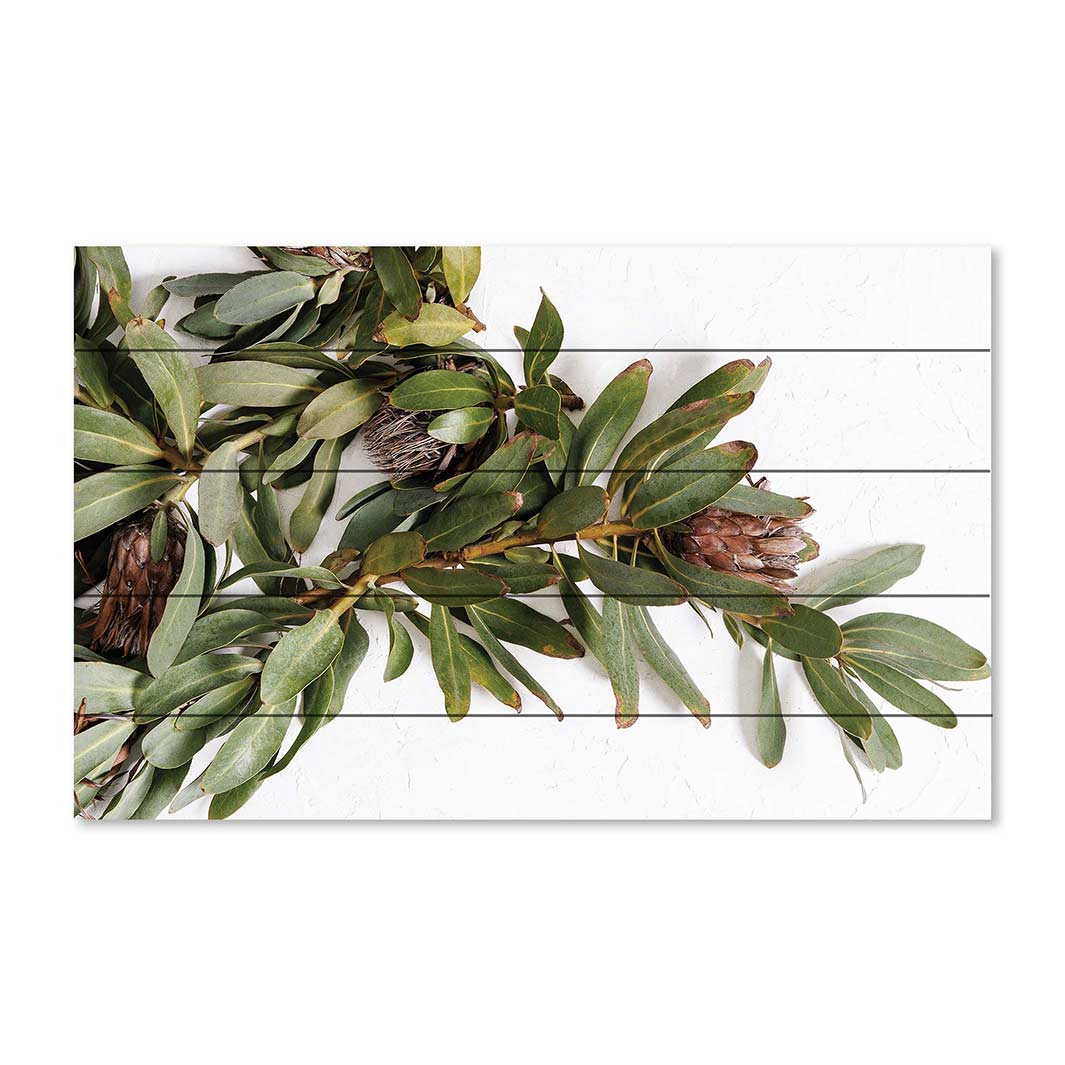 DRIED PROTEA WITH GREEN LEAVES PINE WOOD PRINT