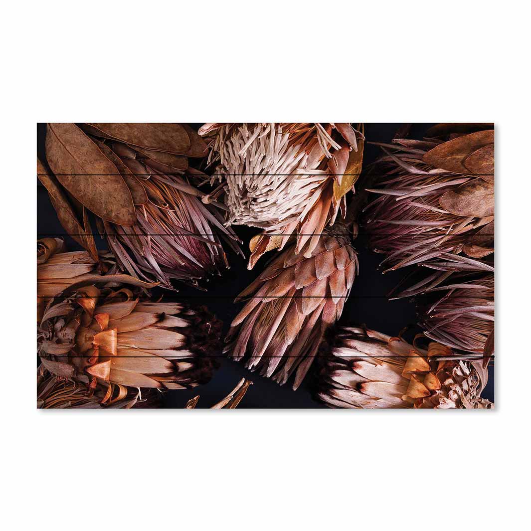 GOLDEN BROWNS PROTEAS PINE WOOD PRINT