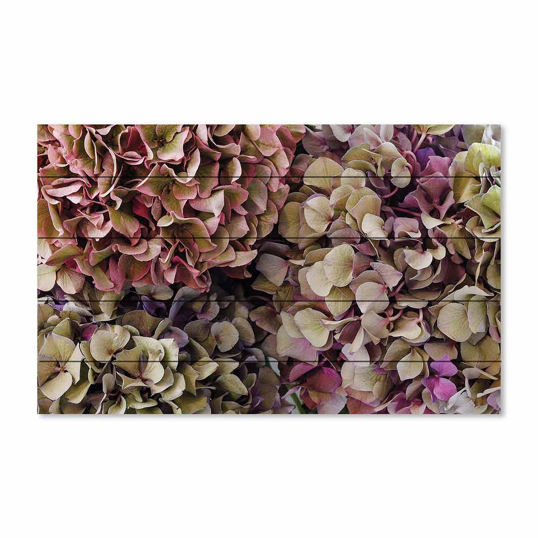 HYDRANGEA DEEP FLORAL TONES PINE WOOD PRINT