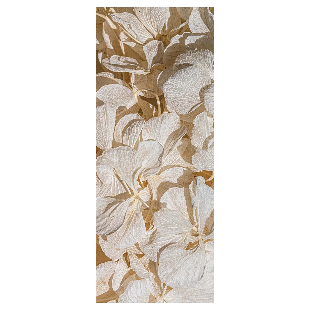 FLORAL CREAM BLEACHED HYDRANGEA LEAVE ROOM DIVIDER