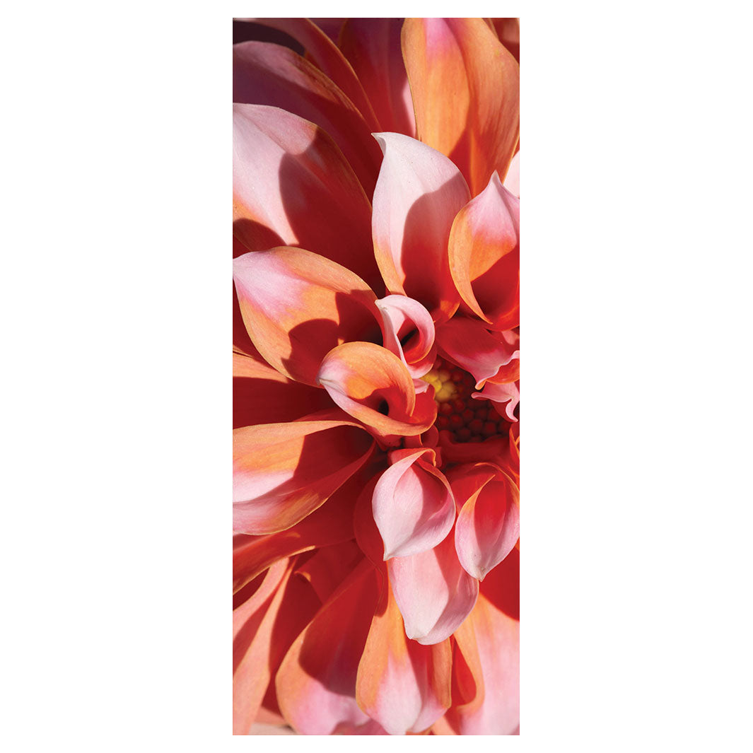 FLORAL PINK DAHLIA ROOM DIVIDER