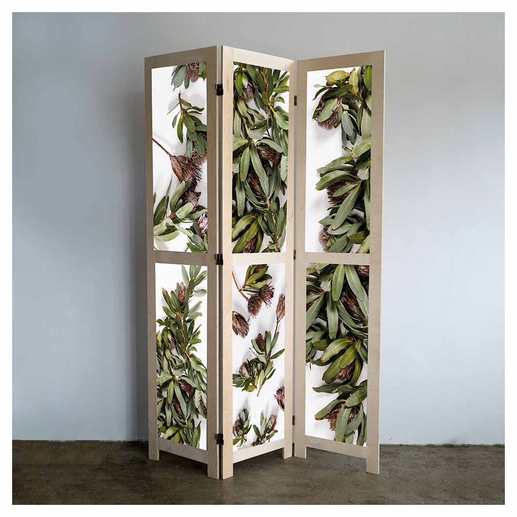 DRIED PROTEA WITH GREEN LEAVES ROOM DIVIDER