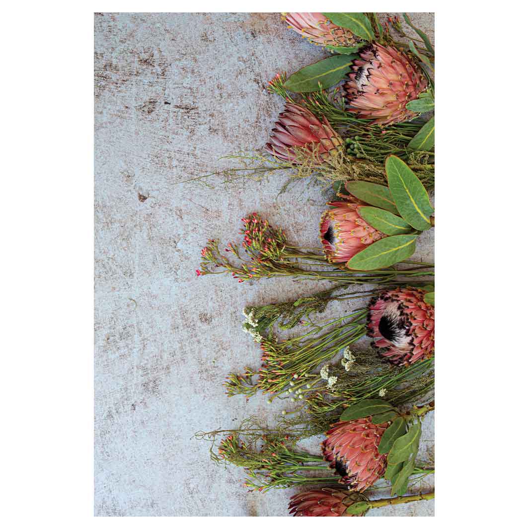 FLORAL PINK MIXED PROTEAS WITH GREEN FOLIAGE RECTANGULAR RUG