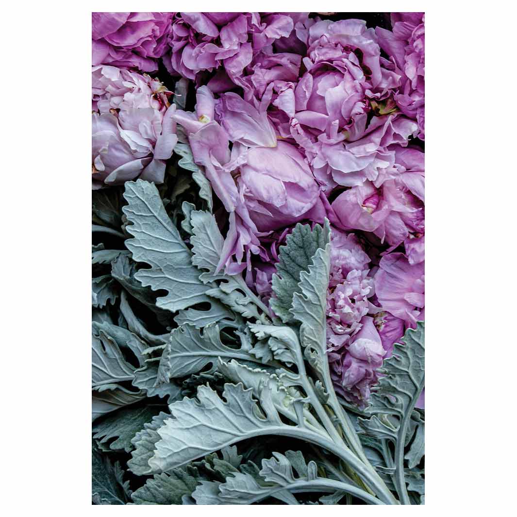 FLORAL SILVER LEAVES WITH PINK PEONIES RECTANGULAR RUG