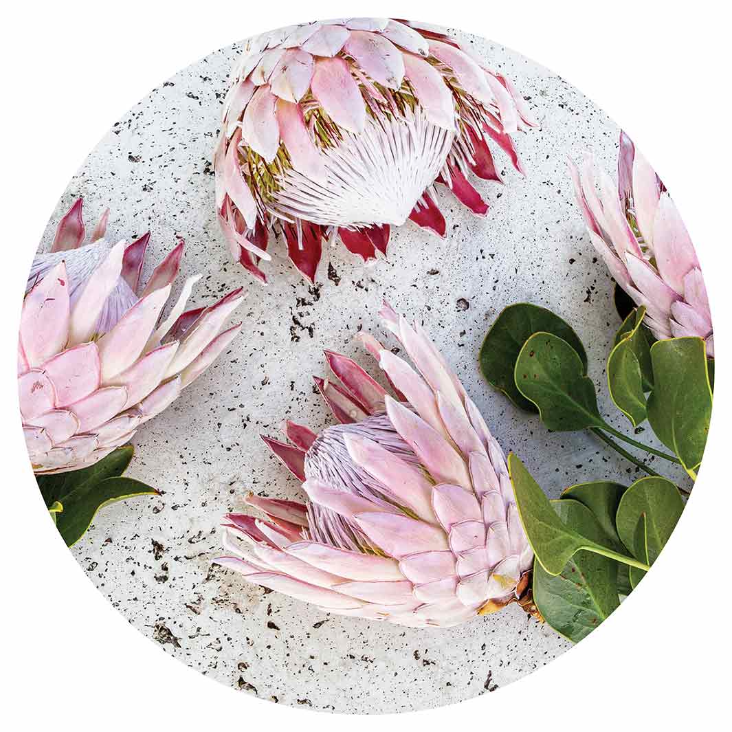 FLORAL PINK PROTEAS ON WHITE SERVING BOARD