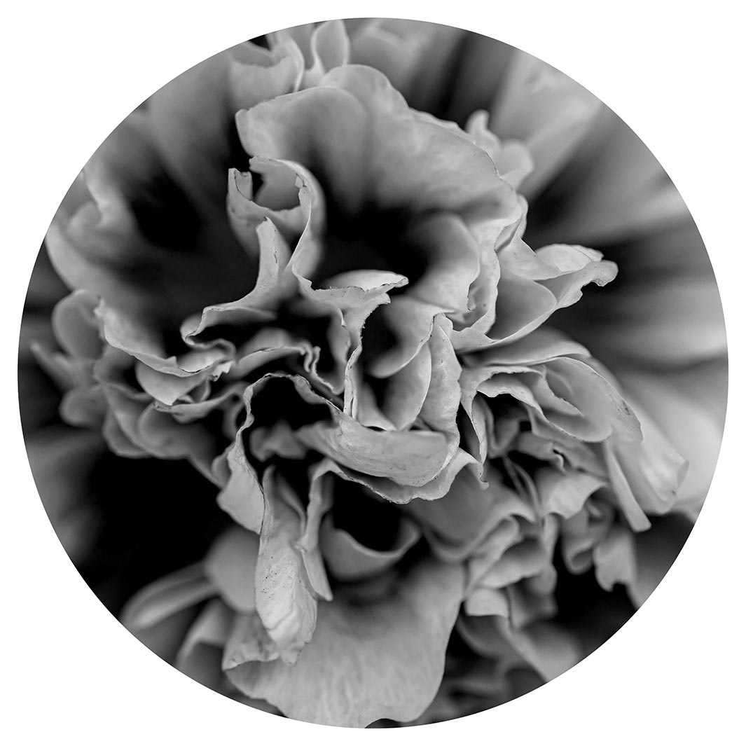 FLORAL BLACK AND WHITE PEONY SERVING BOARD