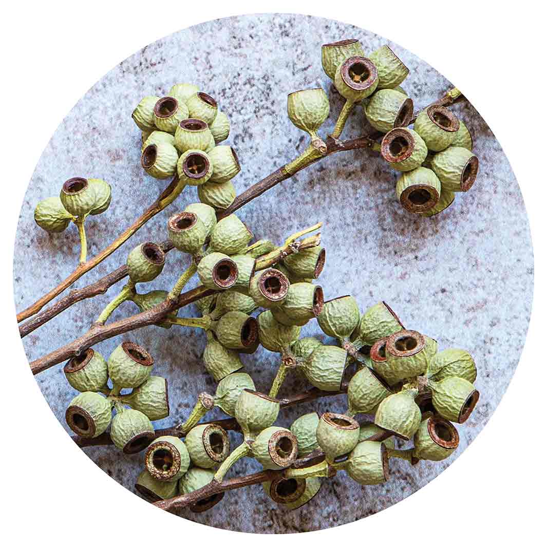 NATURAL GREEN NATURAL AMBERNUTS SERVING BOARD