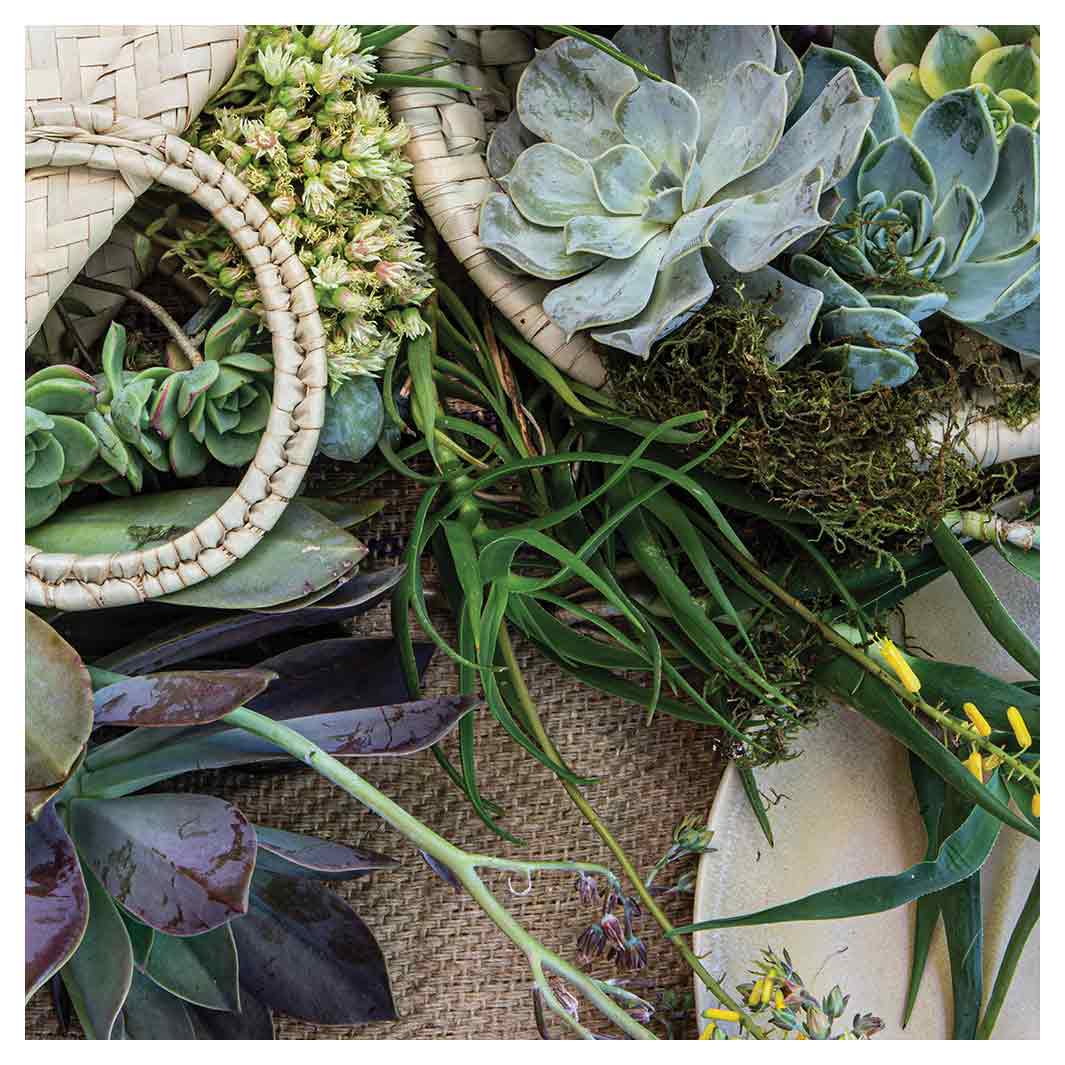 NATURAL GREEN ALOE BOUQUET IN BASKET ON HESSIAN SQUARE SCATTER CUSHION