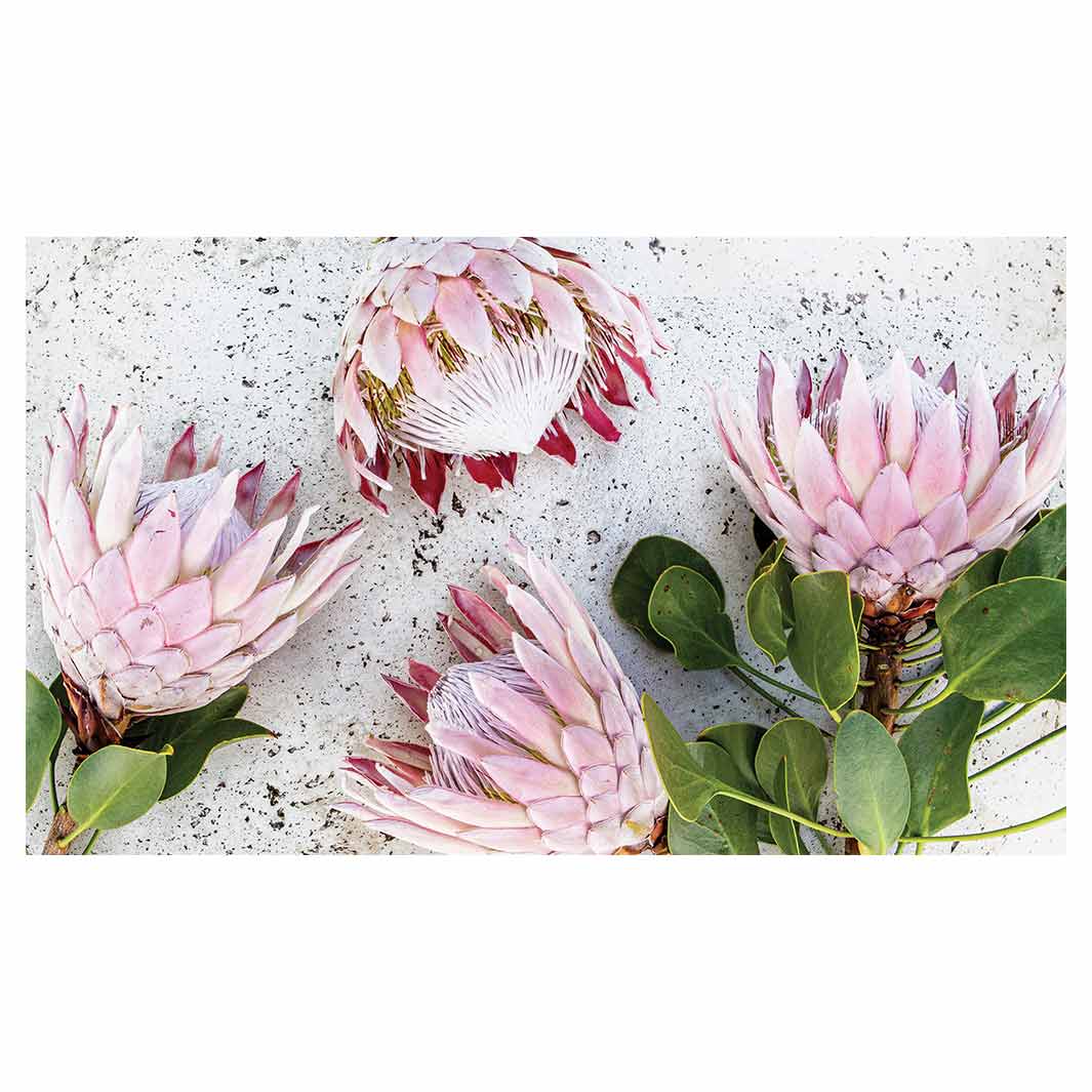 FLORAL PINK PROTEAS ON WHITE RECTANGULAR SCATTER CUSHION