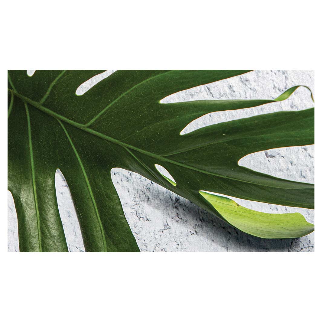 LEAVES GREEN MONSTERA LEAF RECTANGULAR SCATTER CUSHION