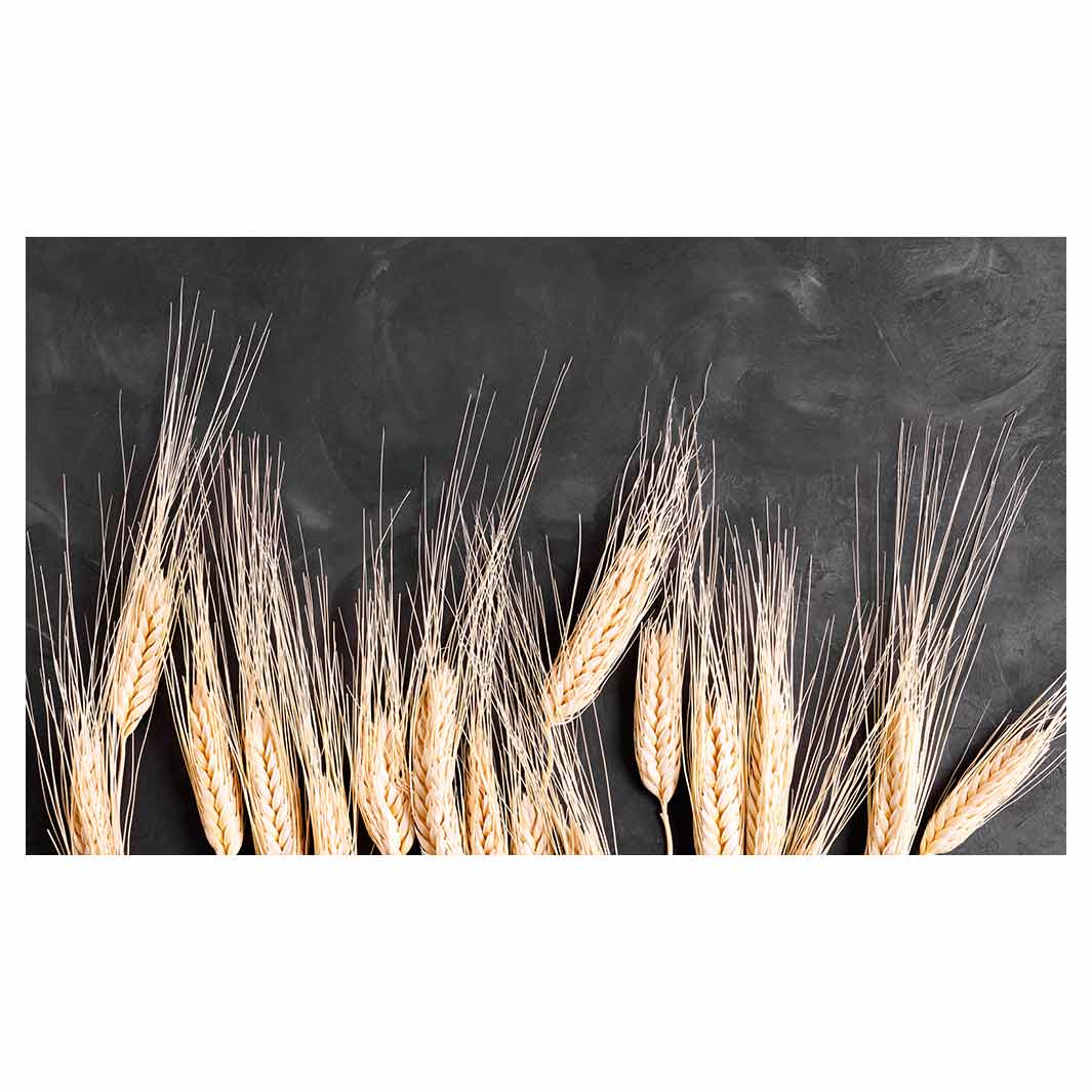 SCATTERED WHEAT ON BLACK RECTANGULAR SCATTER CUSHION