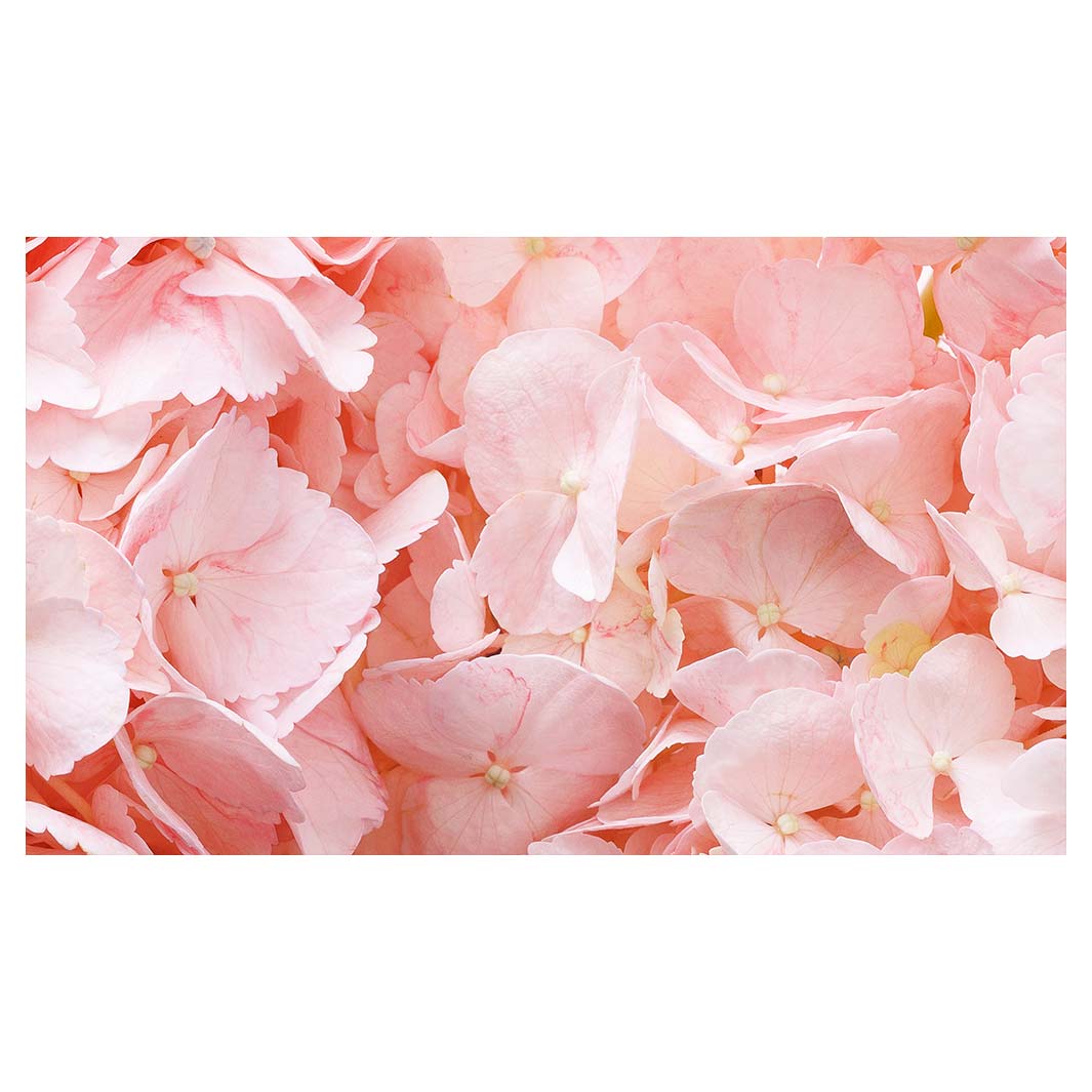 HYDRANGEA SOFT PINK RECTANGULAR SCATTER CUSHION