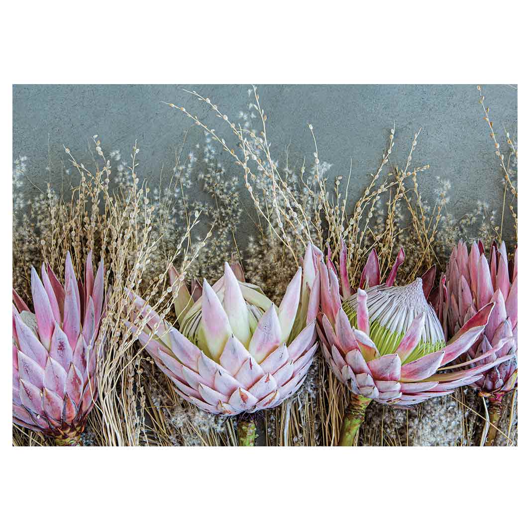 FLORAL DEEP PINK KING PROTEA TABLECLOTH