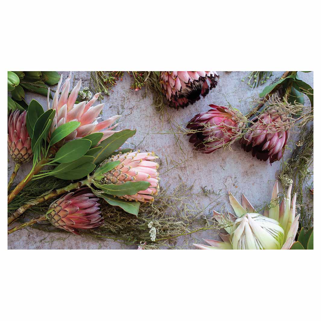 FLORAL PINK MIXED KING PROTEAS TABLECLOTH