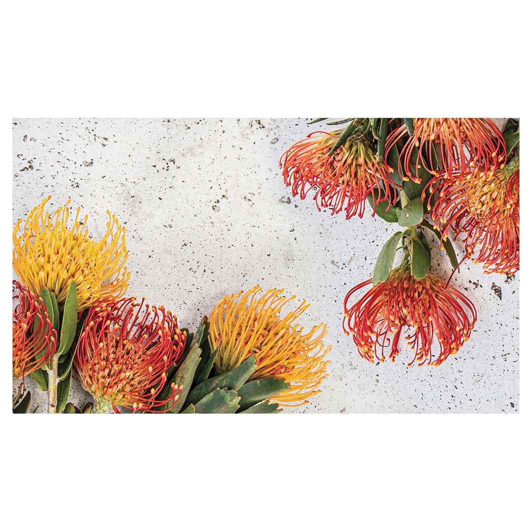 FLORAL ORANGE PIN CUSHIONS ON WHITE TABLECLOTH