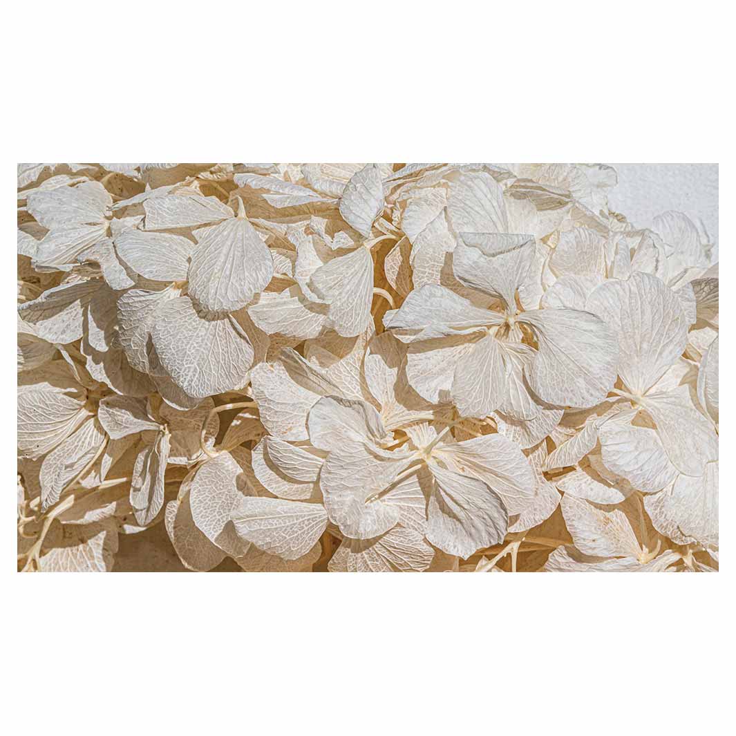 FLORAL CREAM BLEACHED HYDRANGEA LEAVES TABLECLOTH