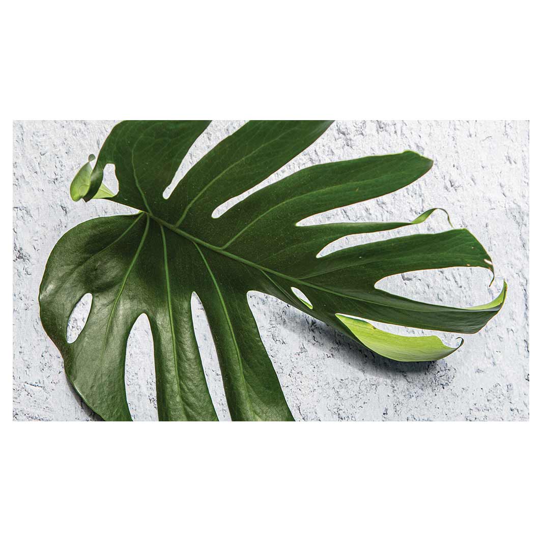 LEAVES GREEN MONSTERA LEAF TABLECLOTH