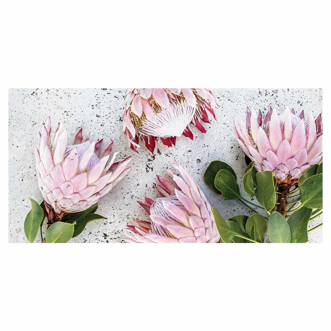 FLORAL PINK PROTEAS ON WHITE TABLECLOTH