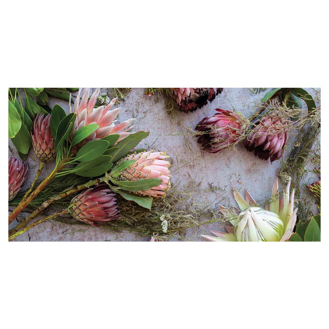 FLORAL PINK MIXED KING PROTEAS TABLECLOTH