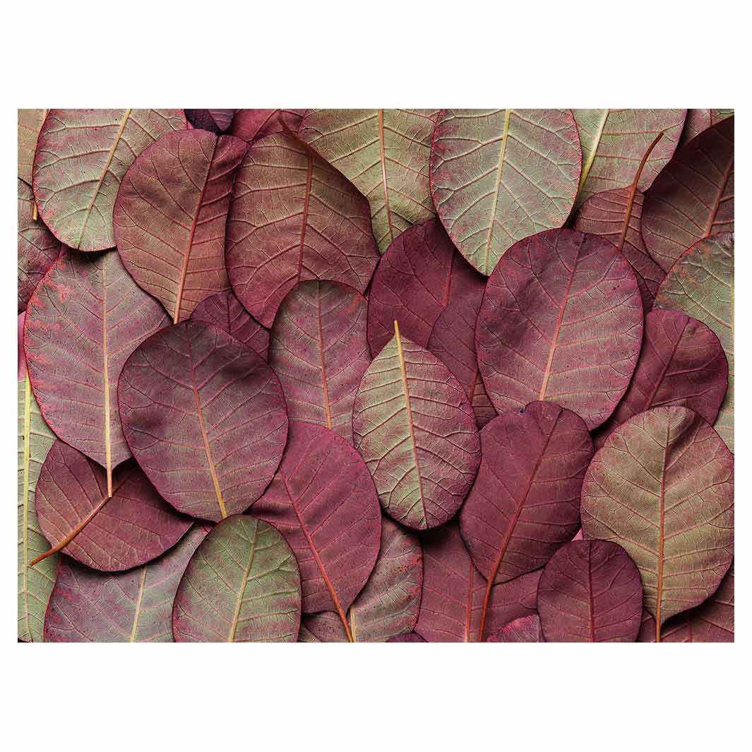 LEAF ARRANGEMENT DARK MAUVE AND GREEN TABLECLOTH